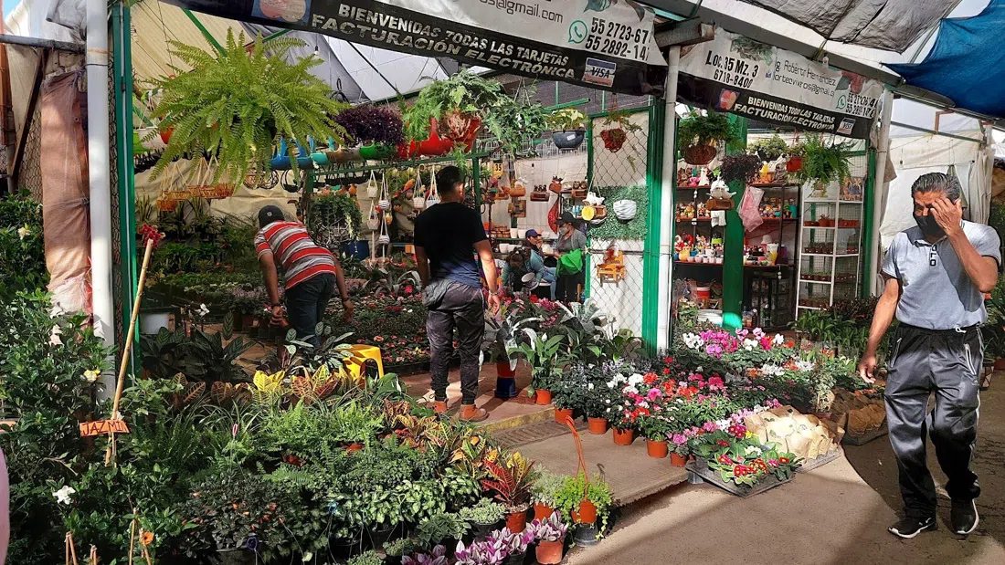 Mercado de Plantas y Flores de Cuemanco, Mexico City