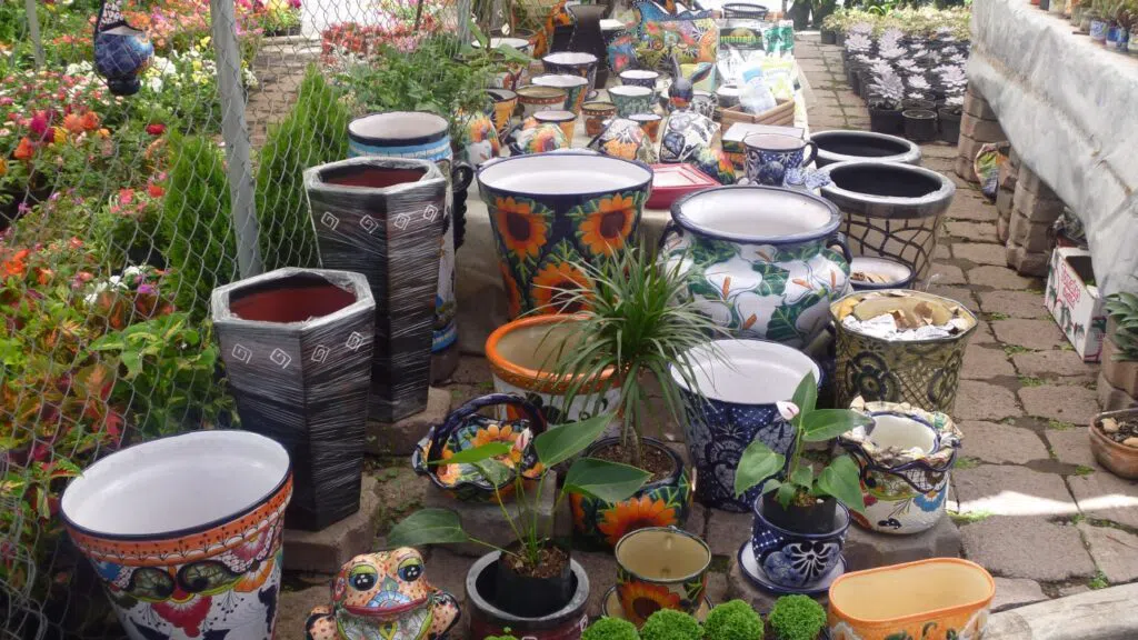 Mercado de Plantas y Flores de Cuemanco, Ciudad de México